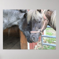 Pony Nuzzle