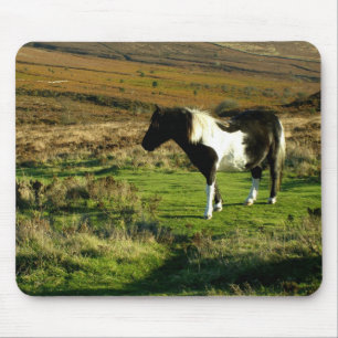 Pony on Dartmoor Mouse Pad