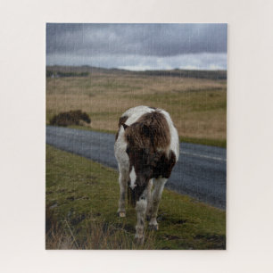 Pony on the Road in Dartmoor National Park Jigsaw Puzzle