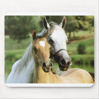 Pony Pad Mouse Pad