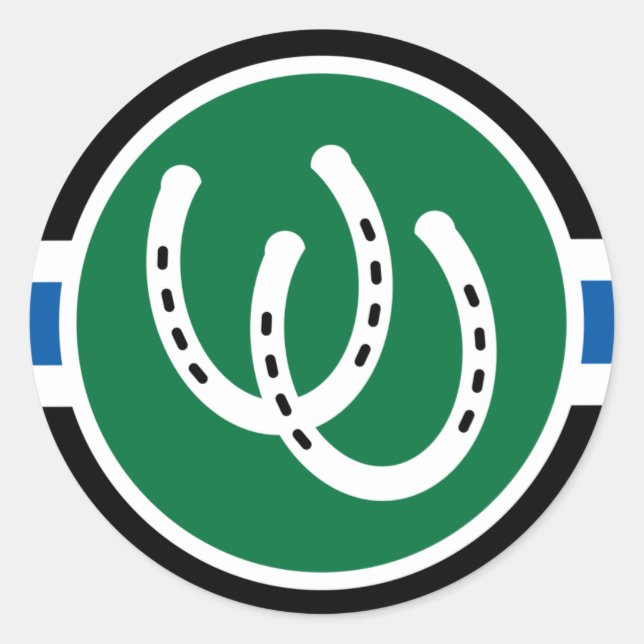 Pony Pride Flag Classic Round Sticker (Front)