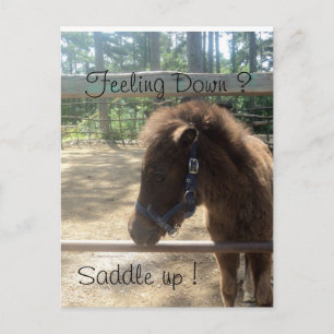 pony profile postcard