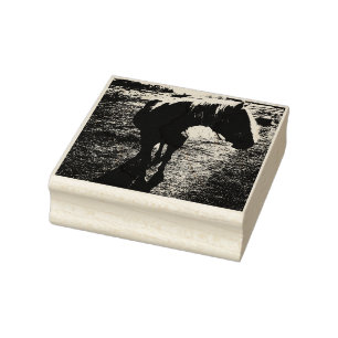 Pony Silhouetted Rubber Stamp