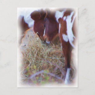 ponylove postcard