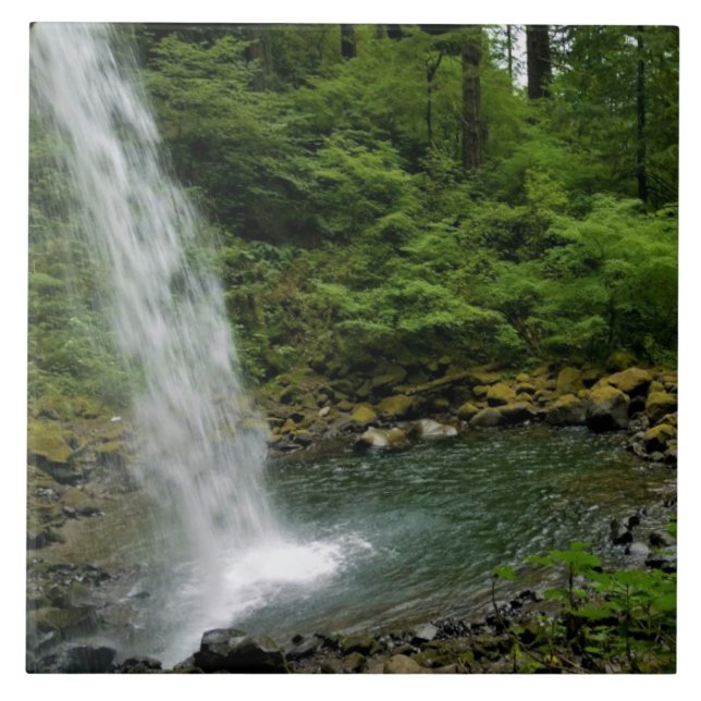 Ponytail Falls, OR Tile (Front)