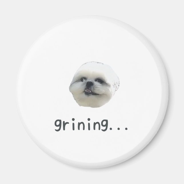 PONZU magnet (Front)