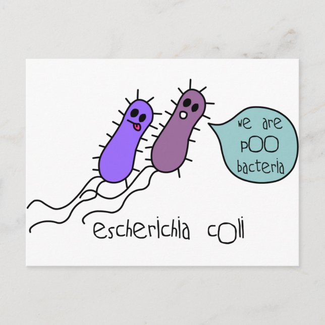 Poo Bacteria Postcard (Front)