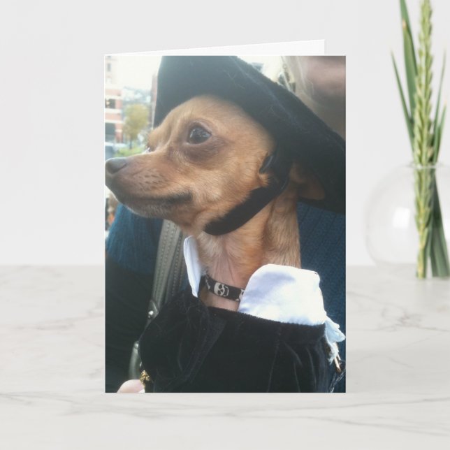 POOCH BEGS PARDON-BELATED BIRTHDAY CARD (Front)