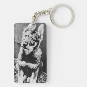 Pooch dog keychain