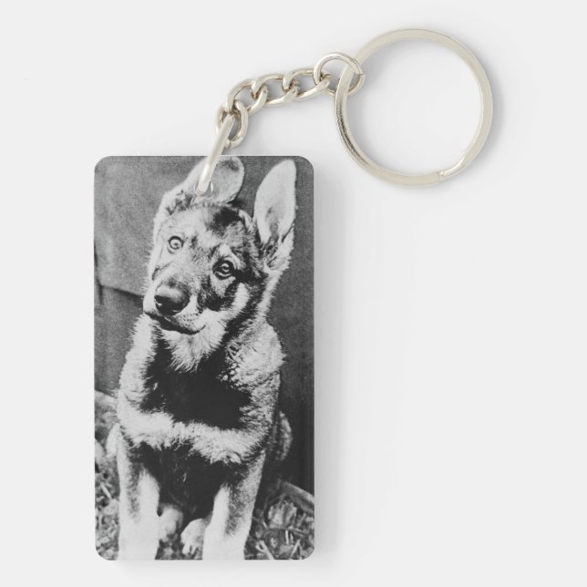 Pooch dog keychain (Back)