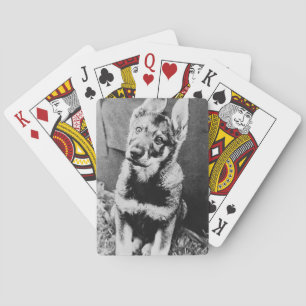 Pooch Playing Cards
