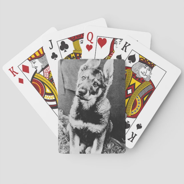 Pooch Playing Cards (Back)