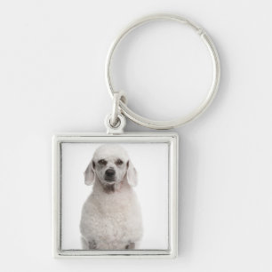Poodle (1 year old) keychain