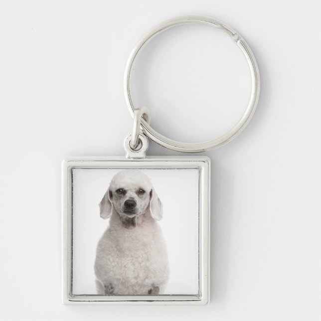 Poodle (1 year old) keychain (Front)