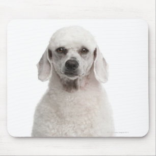 Poodle (1 year old) mouse pad