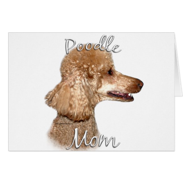 Poodle (abricot) Maman 2 (Devant horizontal)