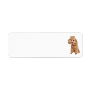 Poodle Address Label