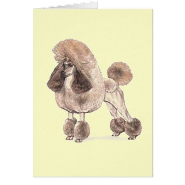 Poodle — Afficher le manteau (Devant)