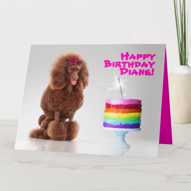 Poodle and Rainbow Cake with Sparkler Birthday Card (Front)