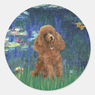 Poodle (Apricot 10) - Lilies 5 Classic Round Sticker