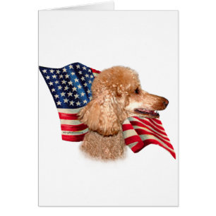 Poodle (apricot) Flag