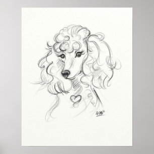 Poodle Art Print Sketch Art