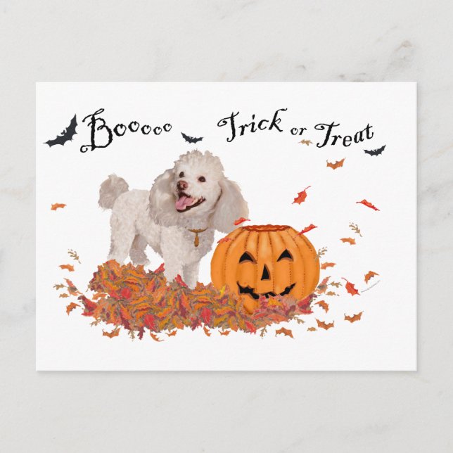 Poodle at Halloween Postcard (Front)
