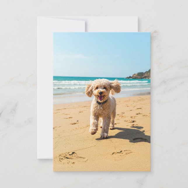 Poodle at the Beach note card (Front)