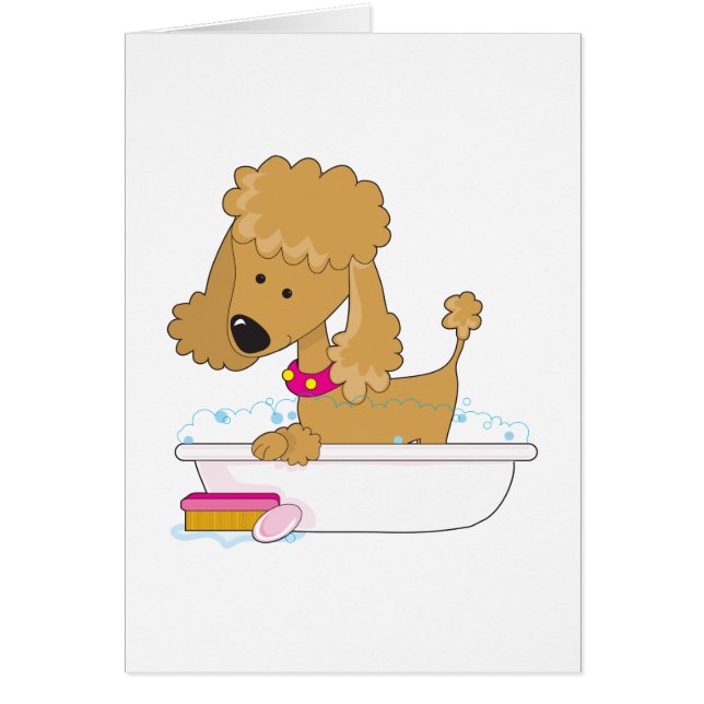 Poodle Bath (Front)