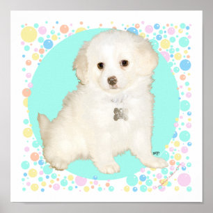 Poodle / Bichon Mix Puppy Celebrates Life Poster