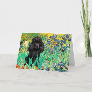 Poodle (black 1) - Irises Card