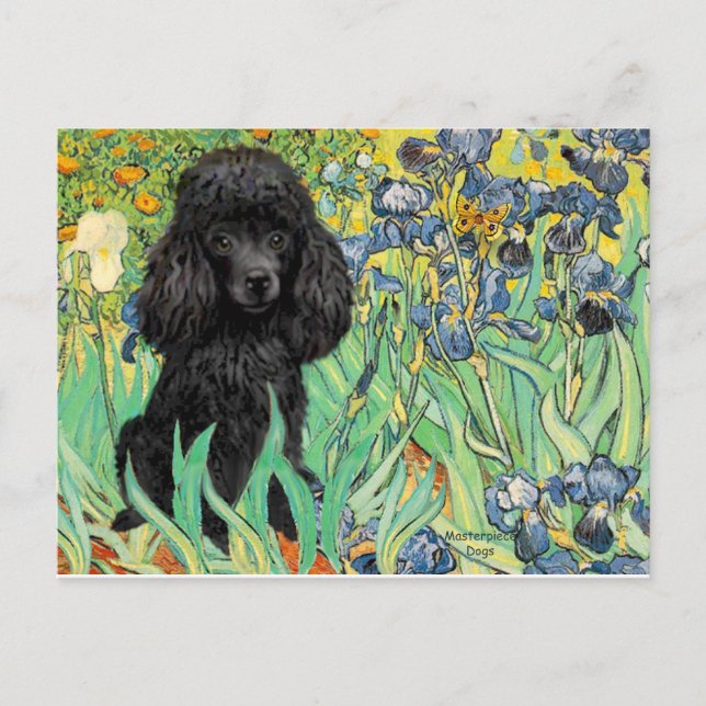 Poodle (black 1) - Irises Postcard (Front)
