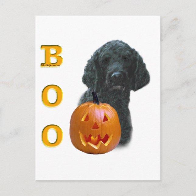 Poodle (Black Coated) Boo Postcard (Front)