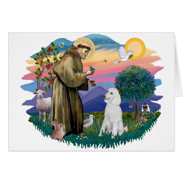 Poodle (blanc standard) (Devant horizontal)