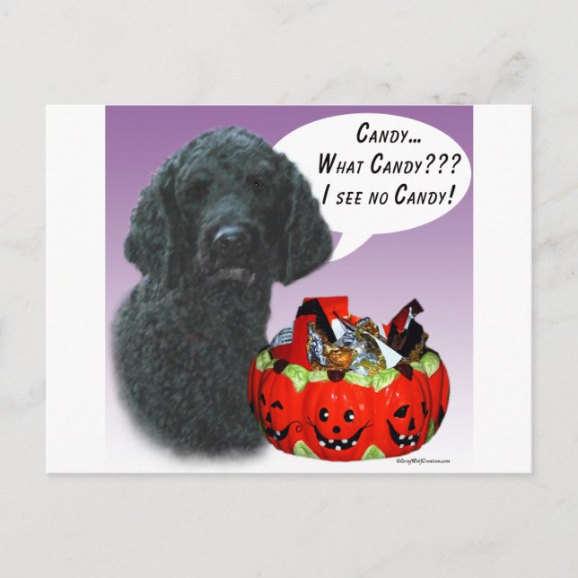 Poodle (blk) Halloween Candy Postcard (Front)
