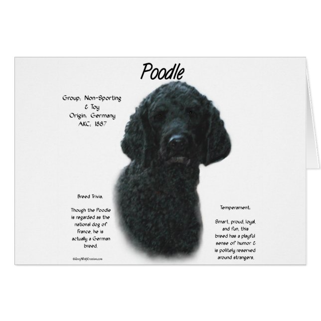 Poodle (blk) History Design (Front Horizontal)