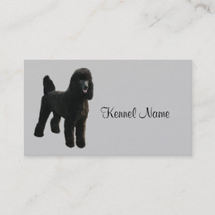 Poodle Breeder Business Card
