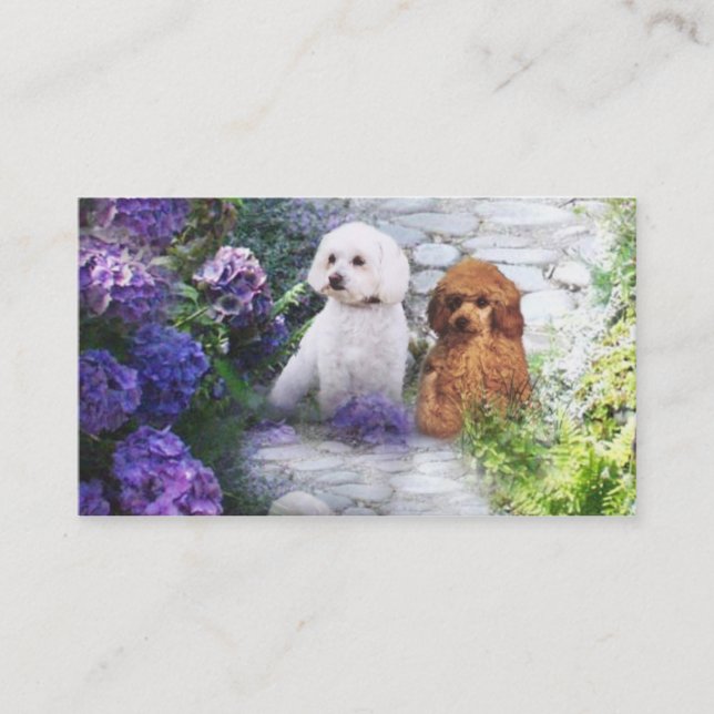 Poodle Breeder Business Card (Front)