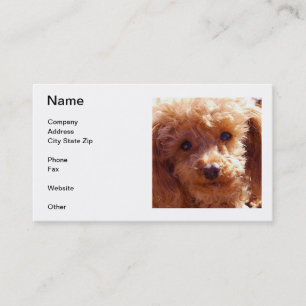 Poodle Business Cards