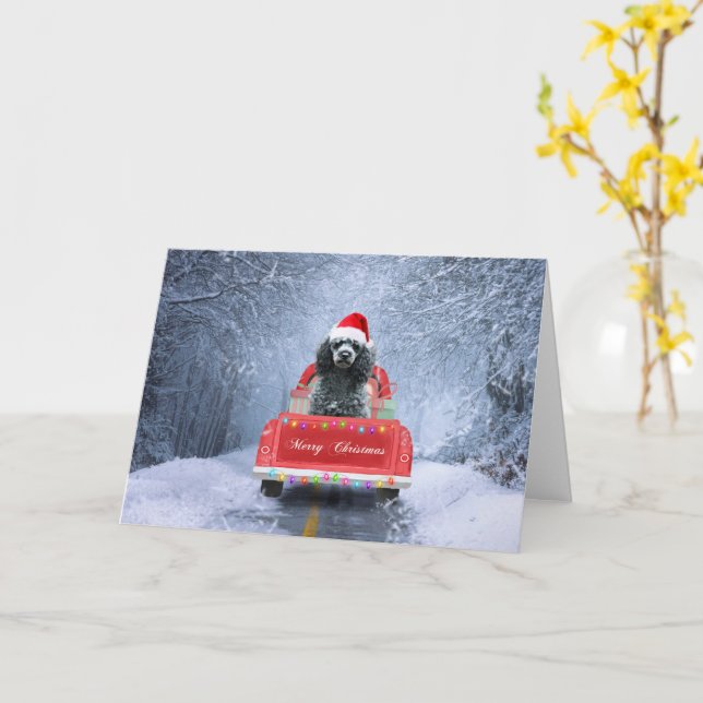 Poodle Christmas Card (Yellow Flower)