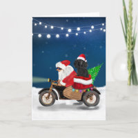 Poodle Christmas