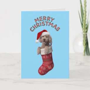 Poodle Christmas Card