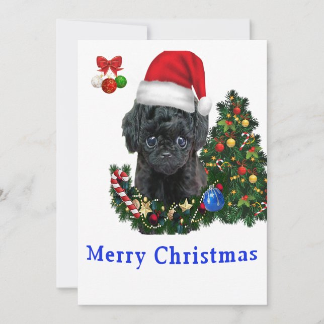 Poodle Christmas cards (Front)