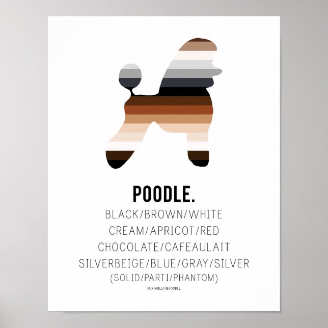 Poodle Colours Print by HUXSHOP (Front)