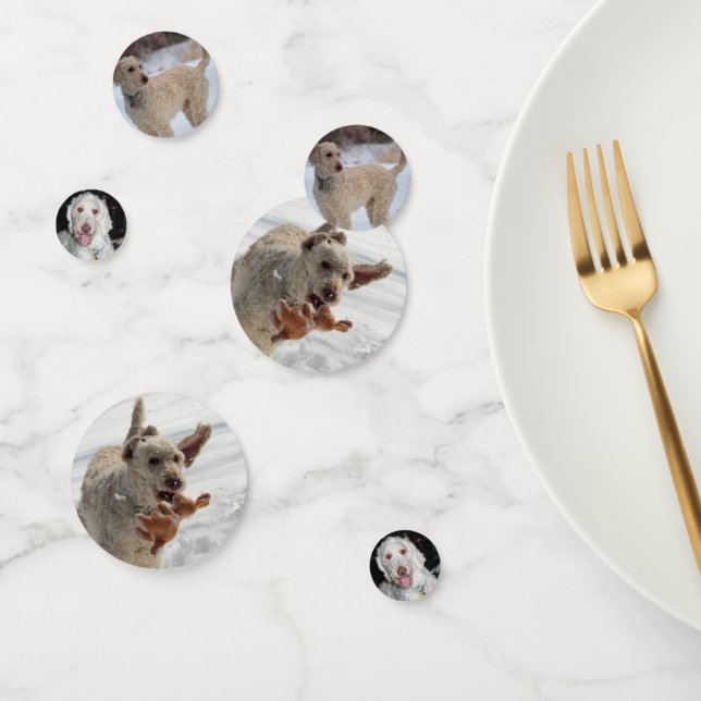 Poodle Confetti (Group)