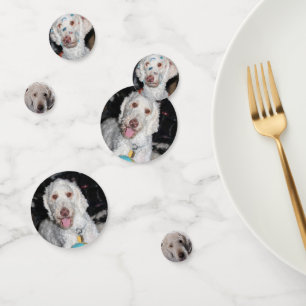 Poodle Confetti