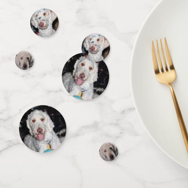 Poodle Confetti (Group)