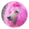 Poodle Day 2010 #11
