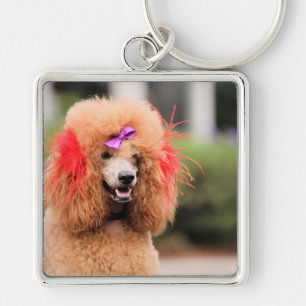 Poodle Day 2010 #1 Keychain