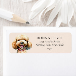 Poodle Dog Adresse personnalisée